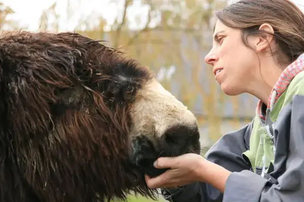 Savonnerie Azalane Savonnerie Azalane