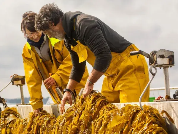 C-Weed Aquaculture
