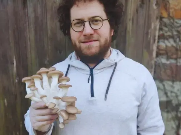 Champignons du Pot' Champignons du Pot'