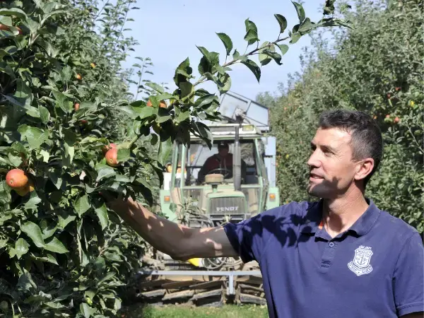 Le Cidre Fermier du Pays de Brocéliande Le Cidre Fermier du Pays de Brocéliande