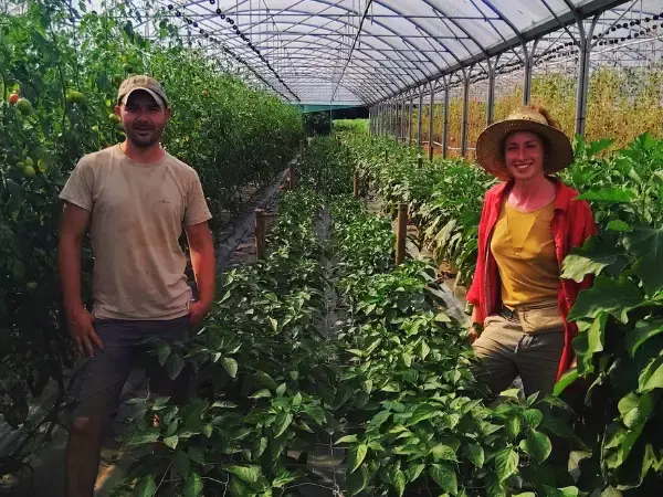 La Ferme du Chat Jaune