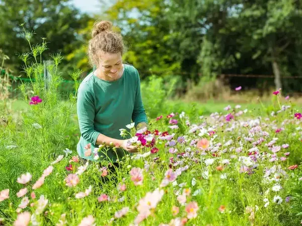 Ferme Florale An Avel Ferme Florale An Avel