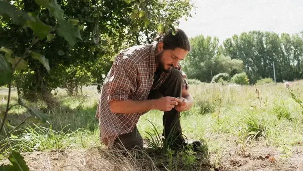 Les Mille et Une Noisettes